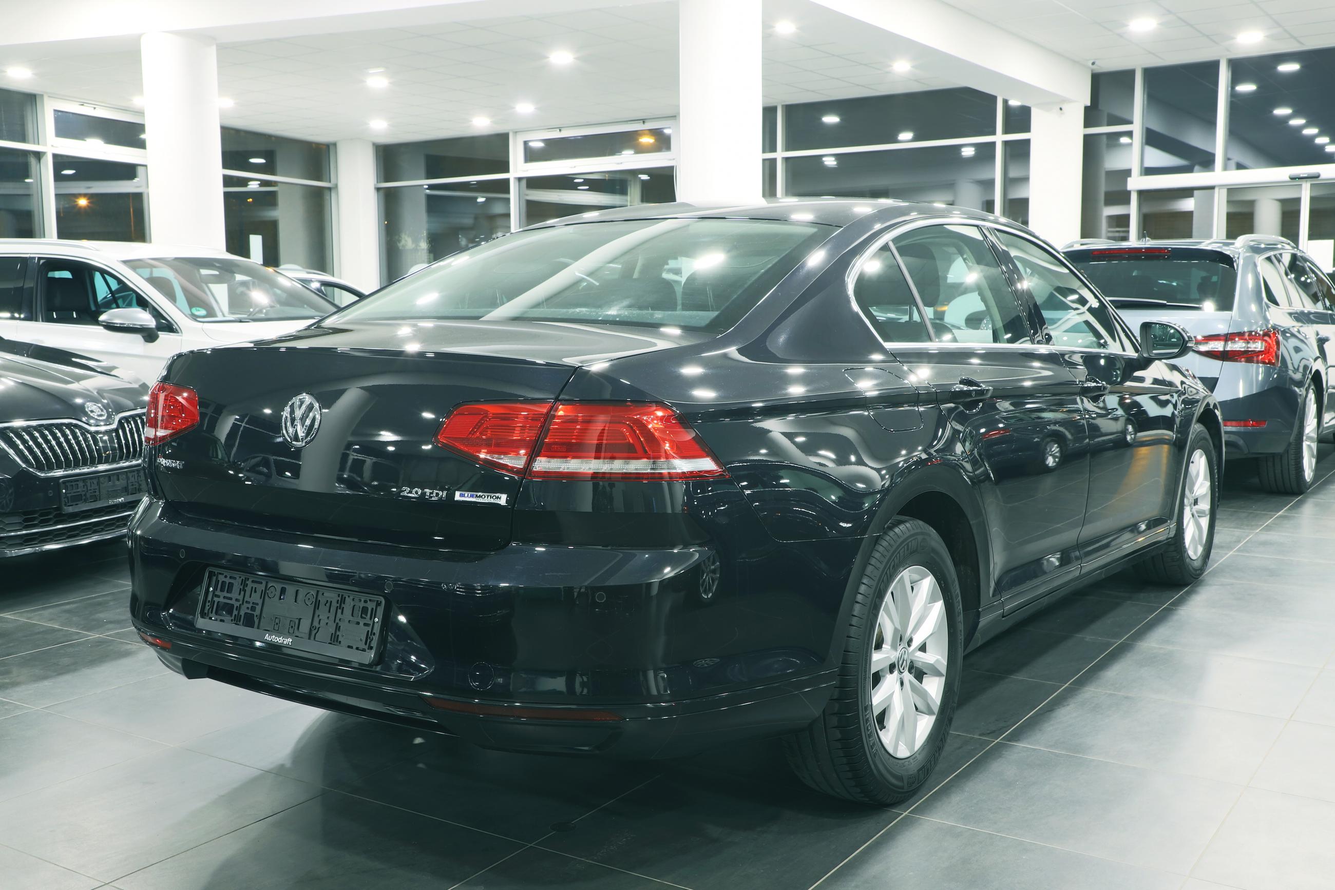 Passat lim basis